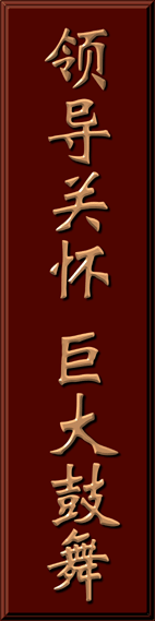 9001ccɳԳΪ(й)޹˾