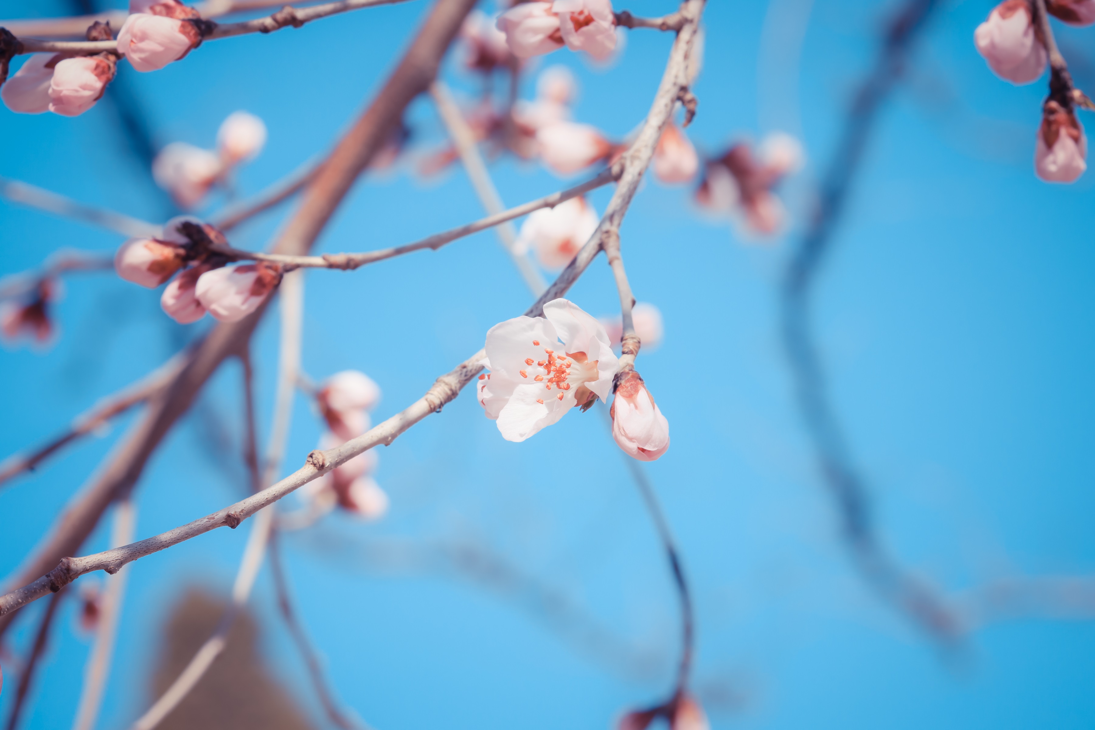 9001ccɳԳΪ(й)޹˾