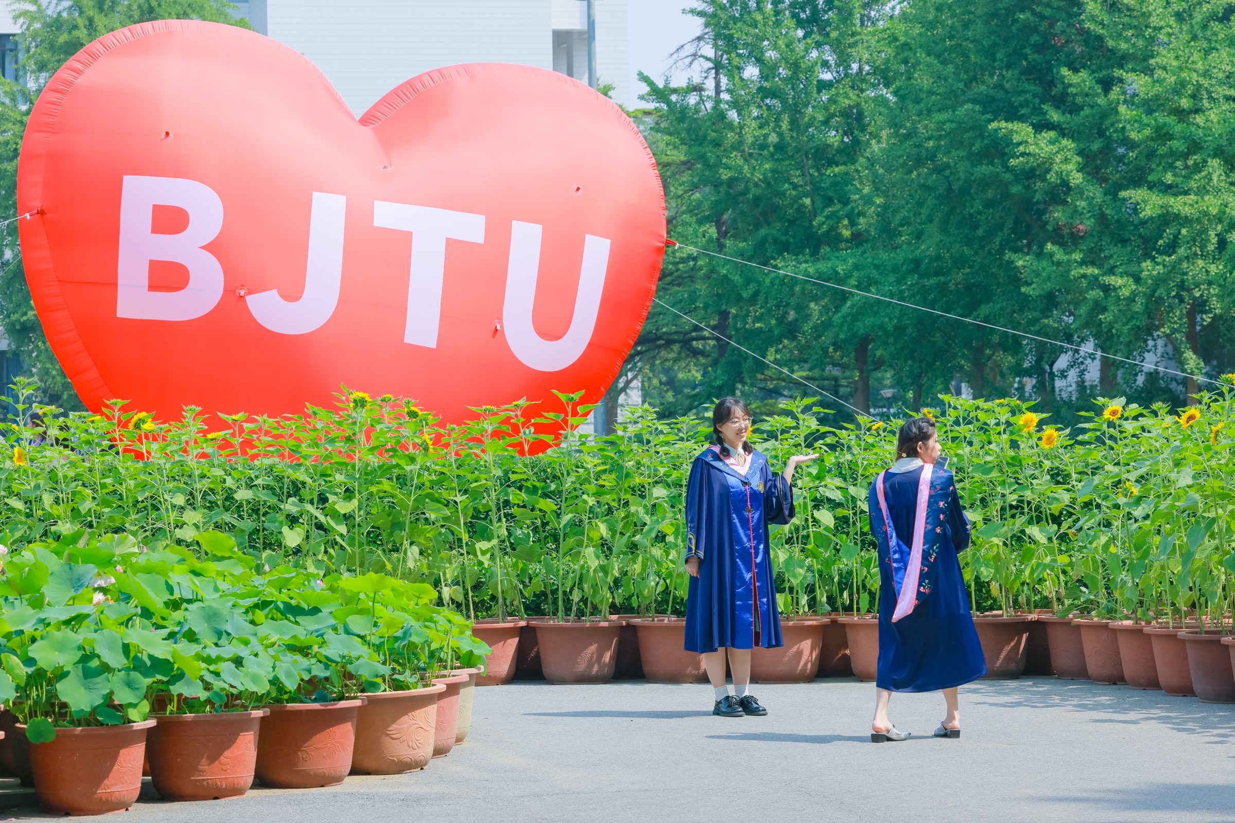 9001ccɳԳΪ(й)޹˾