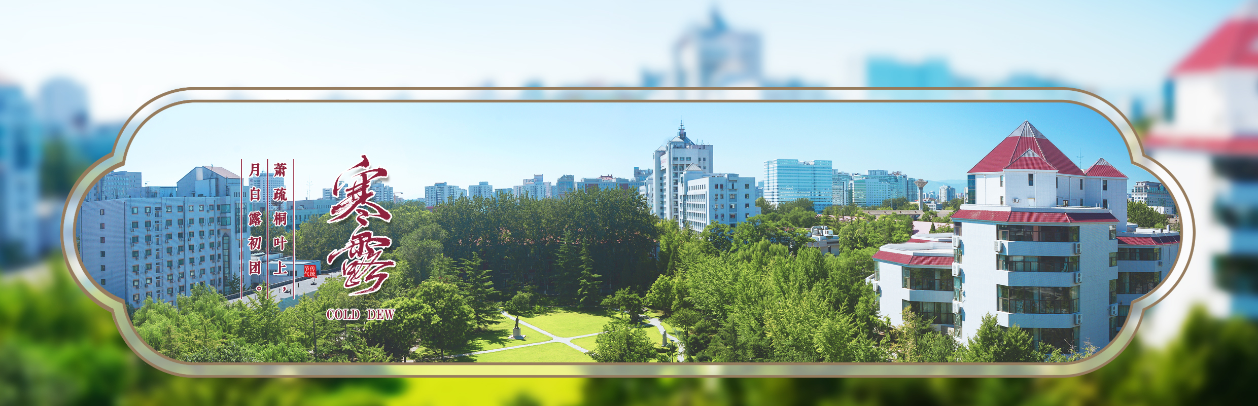 9001ccɳԳΪ(й)޹˾